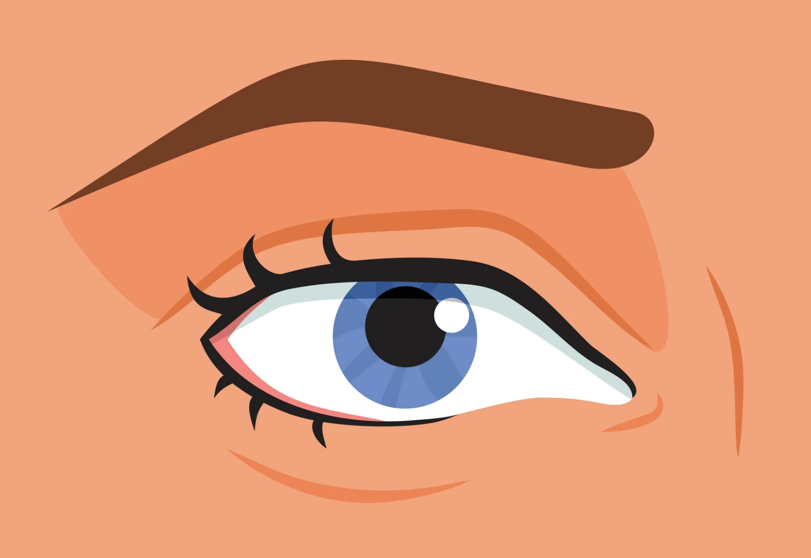 Blepharoplastie-image1-cabinets-ophtalmologiques-La-Meuse